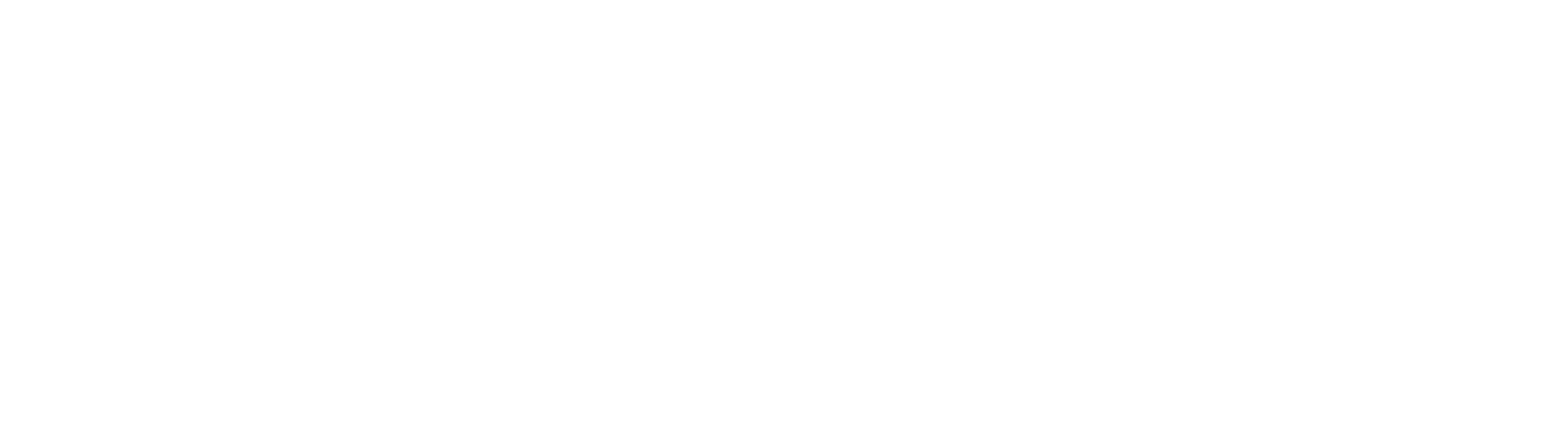 Tagima Guitars